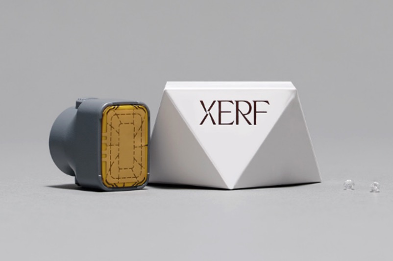 ⚜️ザーフ(XERF)⚜️